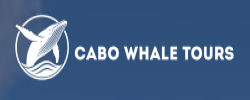 Cabo Whale Tours